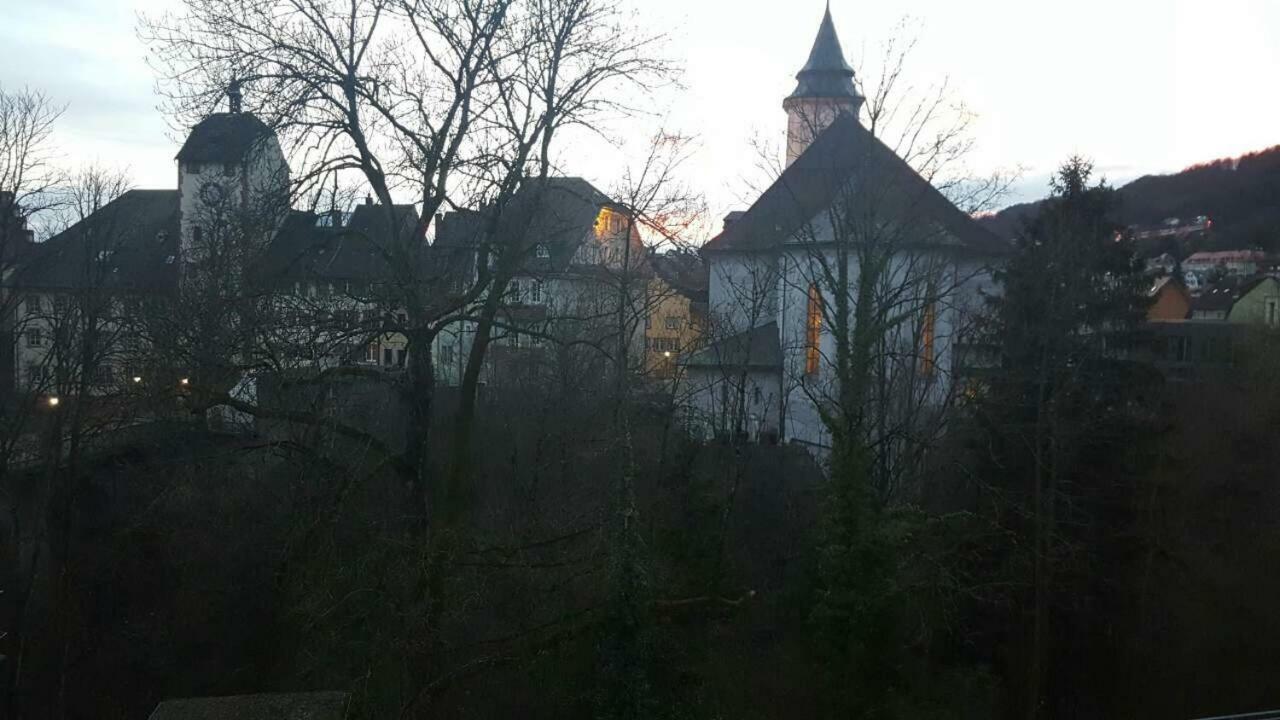 Waldshut Suite In Zentrum ภายนอก รูปภาพ
